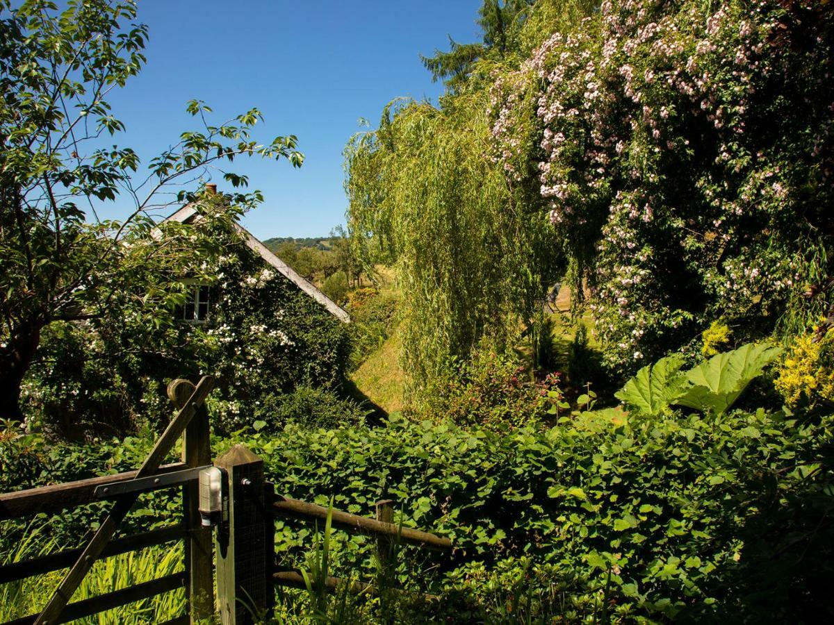 Dolgenau Cottages Trefeglwys 外观 照片